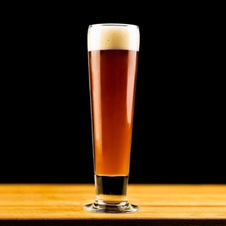 Vienna Lager Vienna Lager